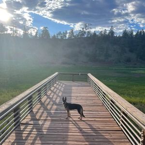 Meet your Posher, Aaron